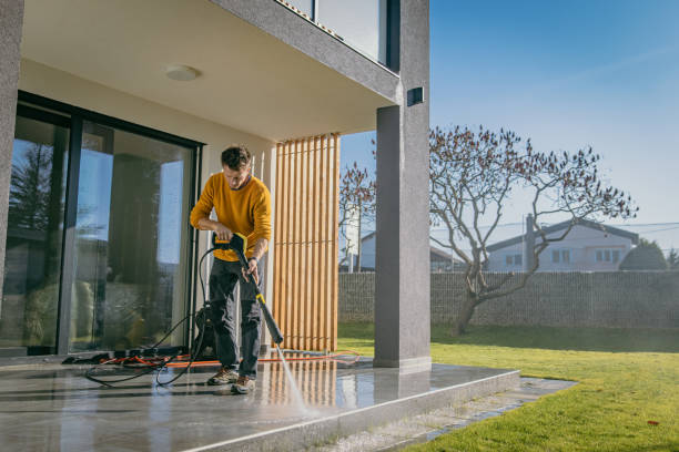 Best Pre-Holiday Cleaning  in St Ignace, MI